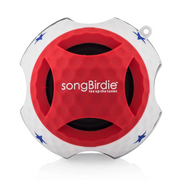 Song Birdie speaker- songBirdie
